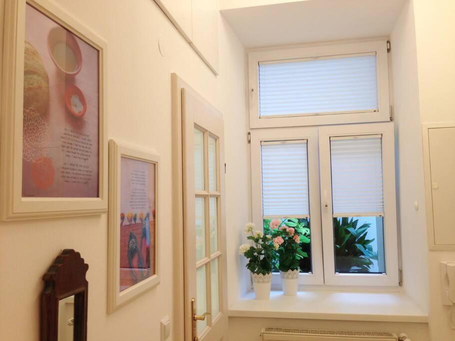 Danube Art Apartments Wien Eksteriør billede